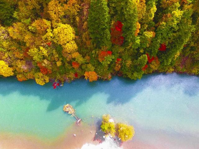 千里相约，山水相逢！黑水文旅亮相上海！这场推介太圈粉了→