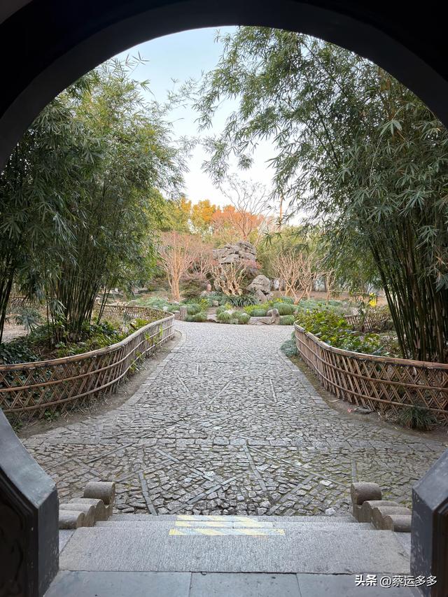 沪上园林古猗园已达颜值巅峰