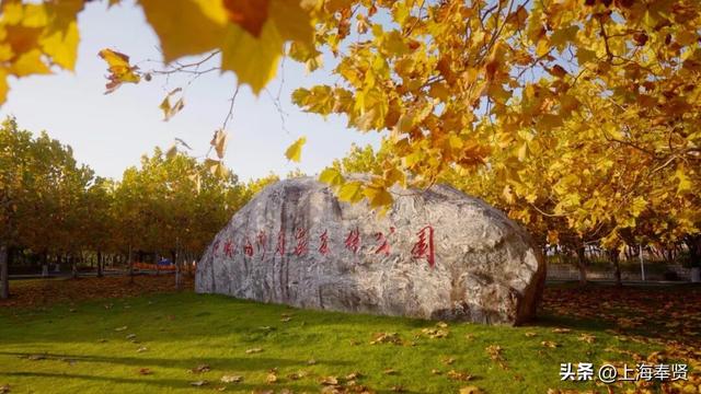 在海湾镇，遇见冬日的浪漫颜色