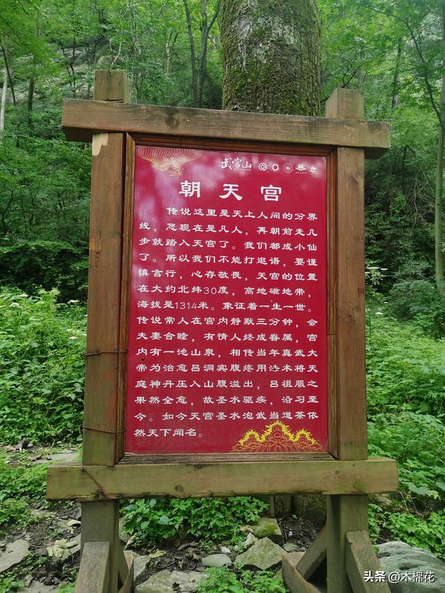 携宠旅游第二天
