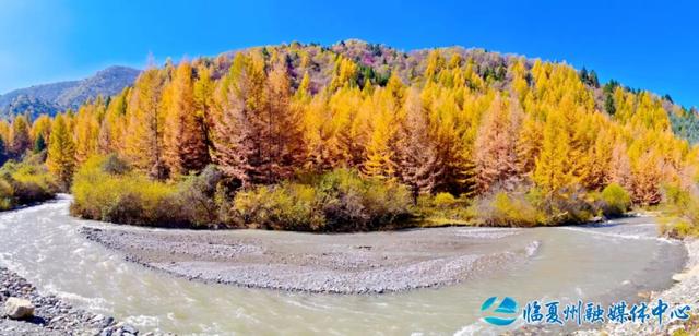 雪落之前留存的秋色