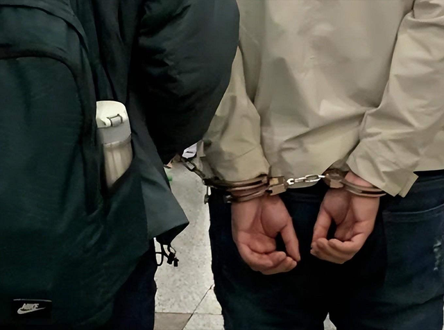 公安部出手！大批内鬼被抓，惊人内幕曝光，幕后黑手身份不简单