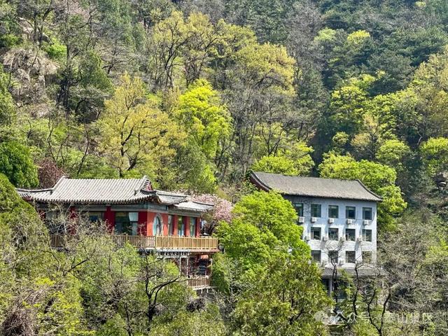 泰山中天门：春末夏初的绮梦之境