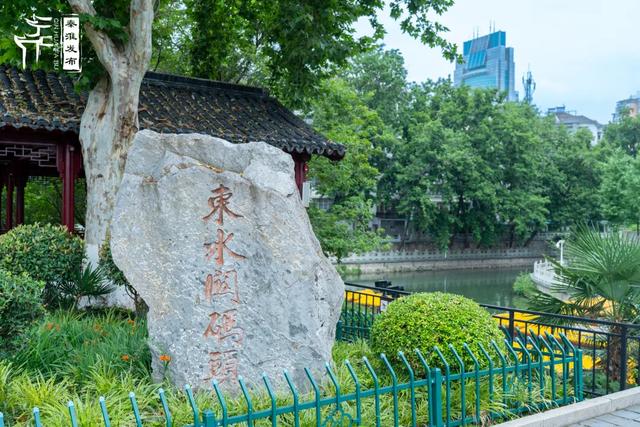 南京地铁5号线隐藏玩法！你绝对不知道，它藏着一条“生态盲盒”路线