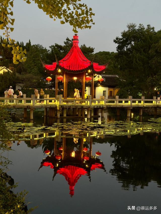 夜游上海古猗园，夜景璀璨迷人