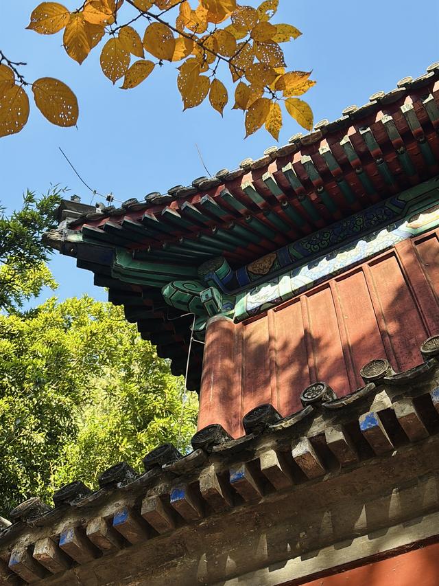 博物FUN | 大觉寺：千年古刹的禅意与新生