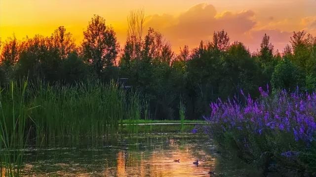 北疆文化 遇鉴赛罕 | 八拜湖实现华丽变身，成为热门“网红打卡地”！