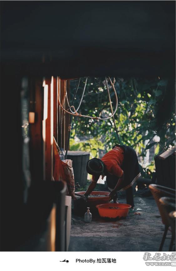 景迈山｜糯干古寨、翁基古寨、千年茶林