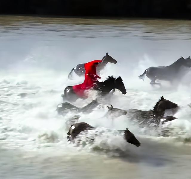 47岁贺娇龙去世！同学曝抢救过程，网友提醒成真，此前疑早有征兆