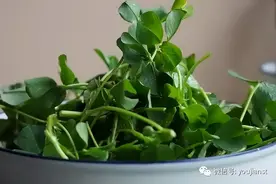 北方当杂草，南方当成宝！这不要钱的杂草，上海人随手做成名菜！图片