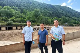 平顺农商银行：金融贷款巧解“猪生意”难题图片