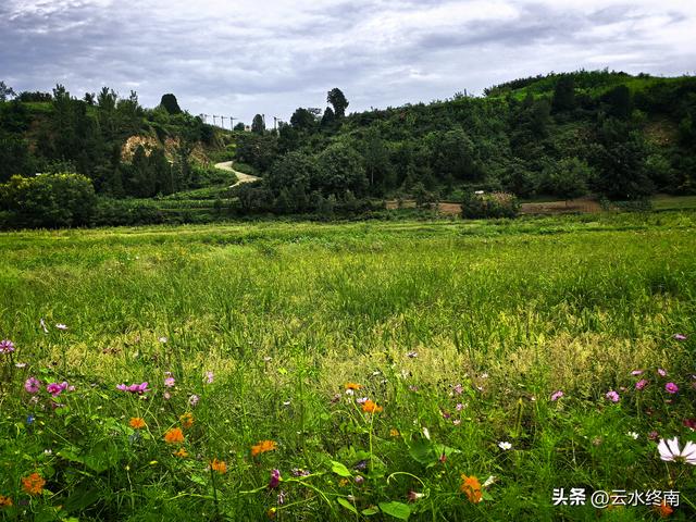在西安最美免费露营地感叹：坡地变梯田，梯田变草原。真是神奇