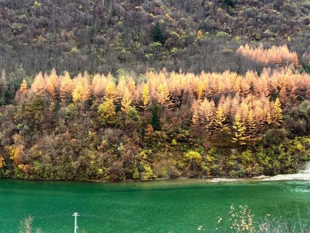 准备好迎接初冬的官鹅沟了吗？