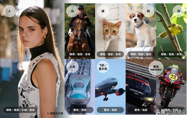 佳能发布全画幅专微 EOS R6 Mark III 16999 元起售 视频性能大幅升级