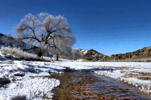 你的“英雄帖”已送达 达茂旗等你来“签到”