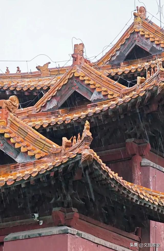 美极啦！下雨天去上班，小泰竟发现岱庙不同以往的一面→