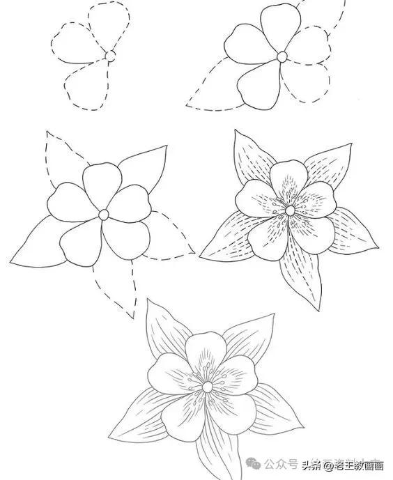 有手就能画！花卉简笔画教程