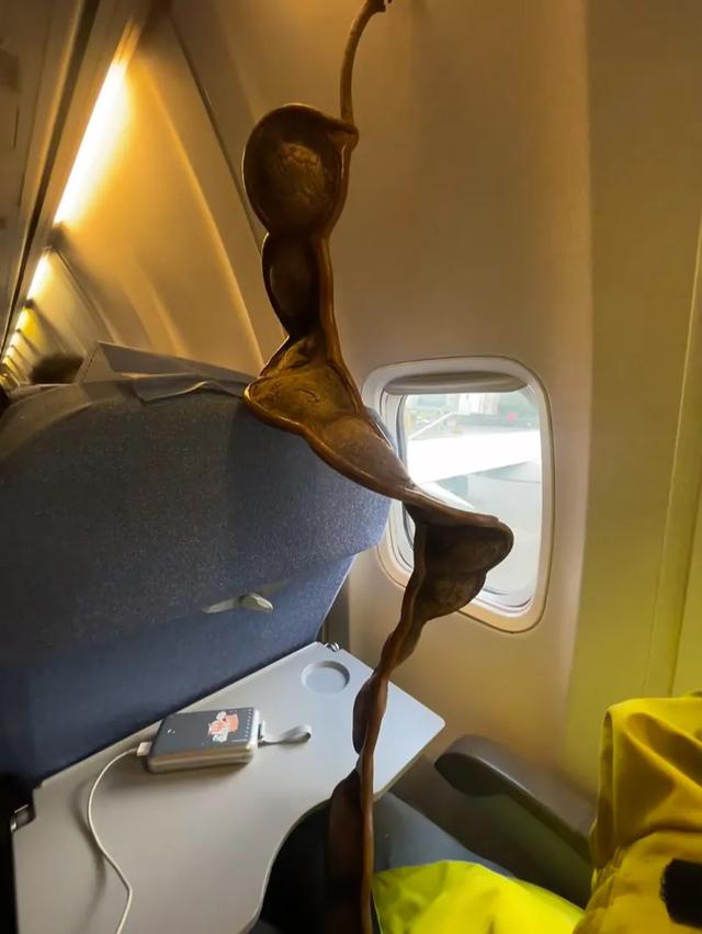 这可能是我买过的最离谱的特产：