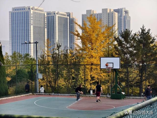 错过等一年~这个周末来这些免费打卡点，拍落叶