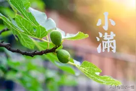 今日小满，无论多忙，牢记：一不穿，二不睡，三不吃，传统不能丢图片