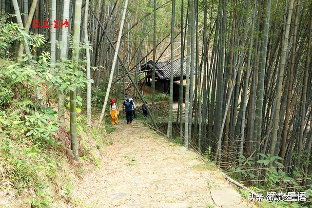 柘岭爱中古道，距离城区非常近，走过还想走