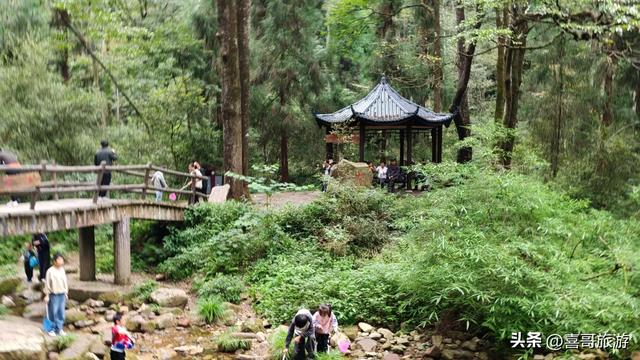 画中游:张家界金鞭溪大峡谷的仙境漫步