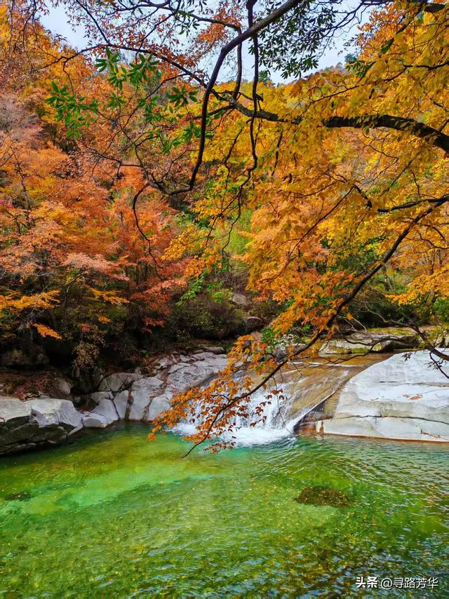 晨光下,米仓山的秋色在眼前一点点展开