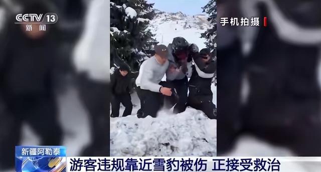 雪豹咬人真相澄清！央视断言：女子违规靠近雪豹，景区警告当摆设