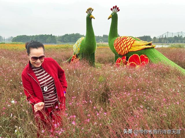 南京高淳固城湖水慢城风光