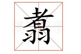 "翥″字不读zhě,不念yǔ,那正确读音是?什么意思？者羽念什么？图片