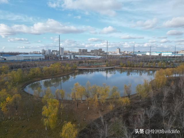 新疆昌吉头屯河公园