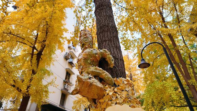 持续一周！抓住银杏的“尾巴”，到后市街打卡“疯狂动物城”