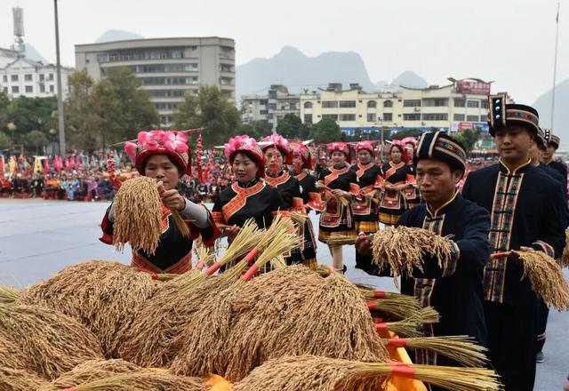 仫佬族最盛大的节日！广西罗城邀你这个周末来过依饭节咯~