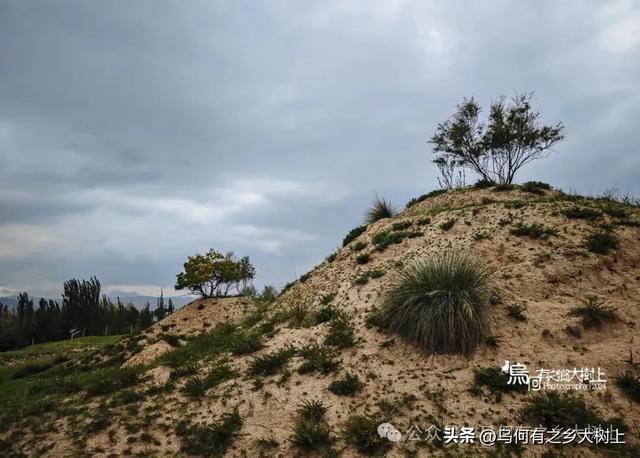 兰州汪家湾墓群：毗邻明长城，封土下已被挖成悬崖未见棺椁