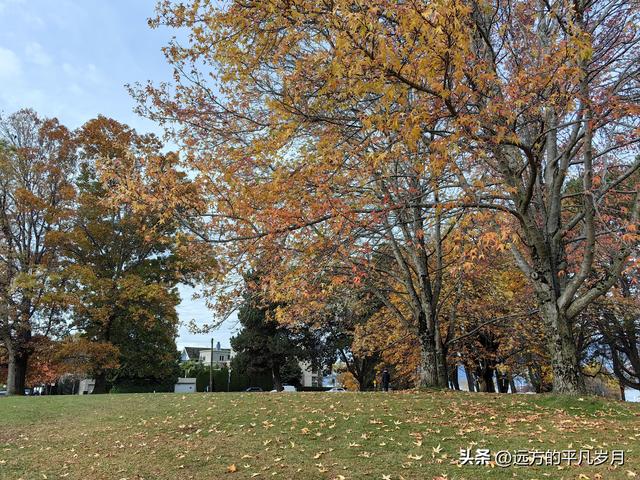 温哥华游记（五）