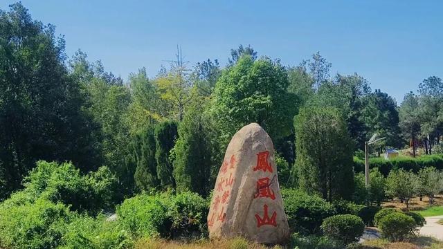 大美泌阳：水 墨 春 水