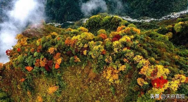 跟着赛事游园区——彭州四大园区与您一起跑出“加速度”