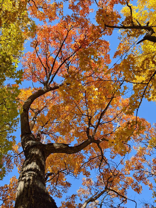 北京的秋是七彩的