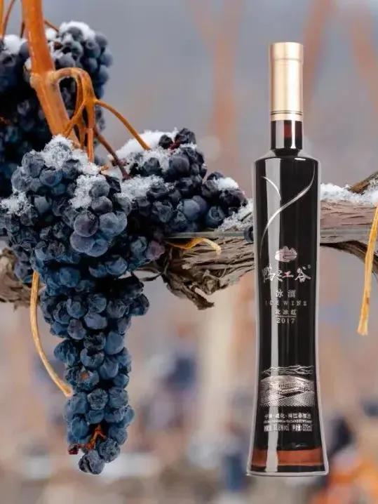 解锁吉林“一日生活圈”:从城市到雪原,只需一张高铁票