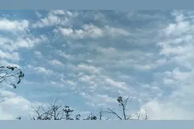 教一辈子书，退休时竟然进不了5档？有规定副高退休必须进5档吗？图片