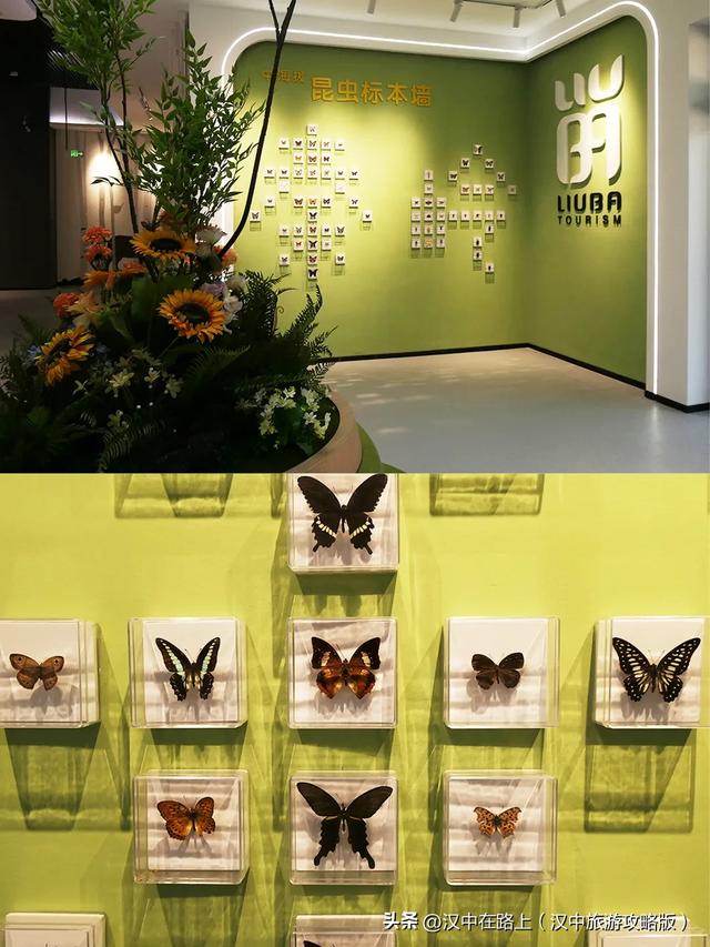 汉中巨型冰瀑奇观惊艳上线!