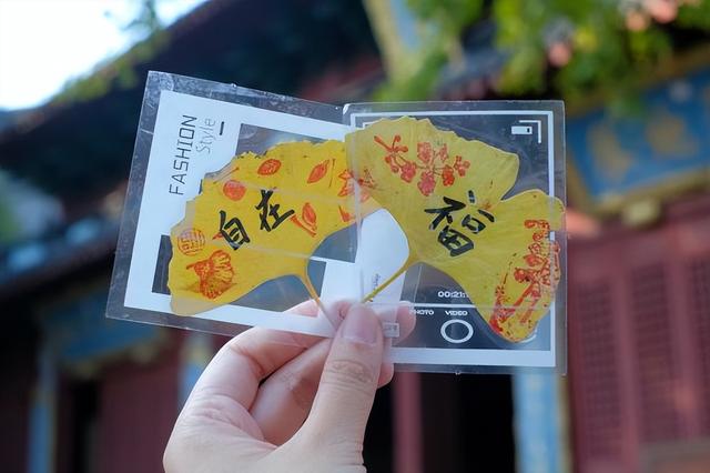 杭州孔庙碑林银杏季启幕，推出多项文化体验活动邀市民共赏“金色盛宴”