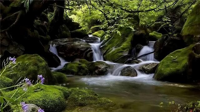 【联动宣传】在20℃的清凉中寻觅定西夏末的美好