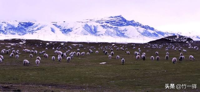 青海布哈河湿地：青海湖的母亲河