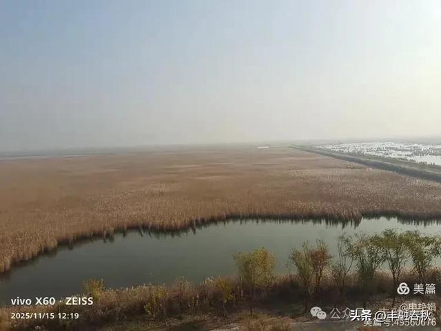 苇风载秋，鹤影映波——河北黄骅南大港湿地的初冬漫游｜ 申艳娟