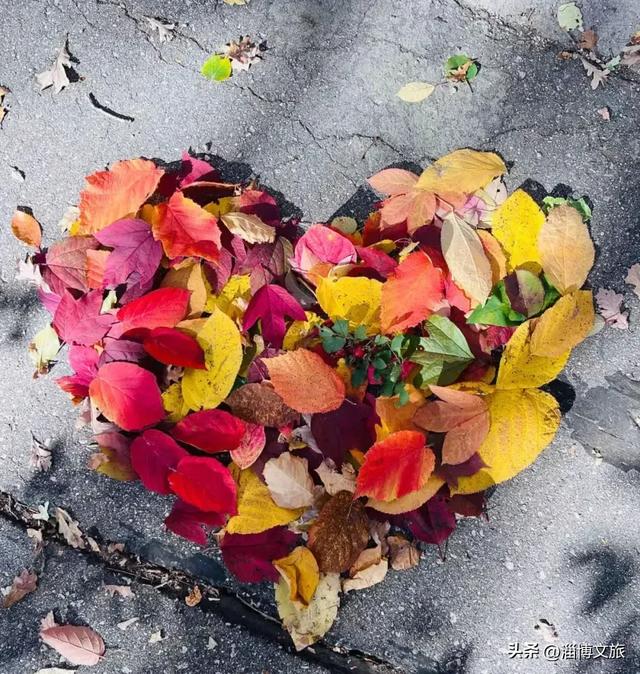 🤏捡捡捡,淄博惊现“捡秋”大神!海岱楼、周村大街…全被捡出来了→