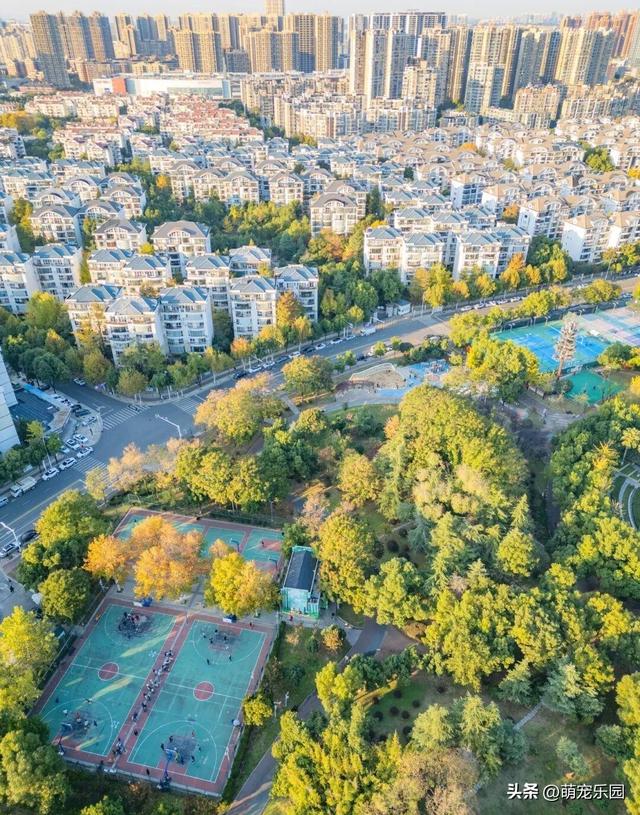 清晨金银湖薄雾散开，径河公园帐篷如花朵，常青花园邻里情浓厚