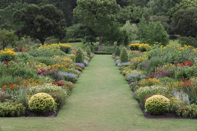 上海值得去的6个公园推荐！全部免费，好看又好玩！你都去过几个