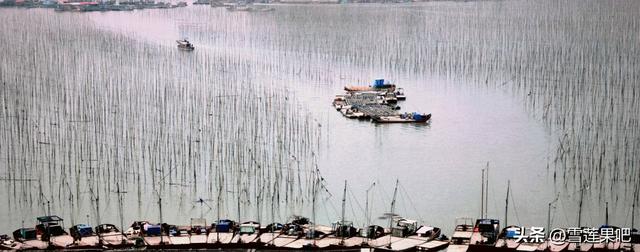 水墨国画，诗意霞浦