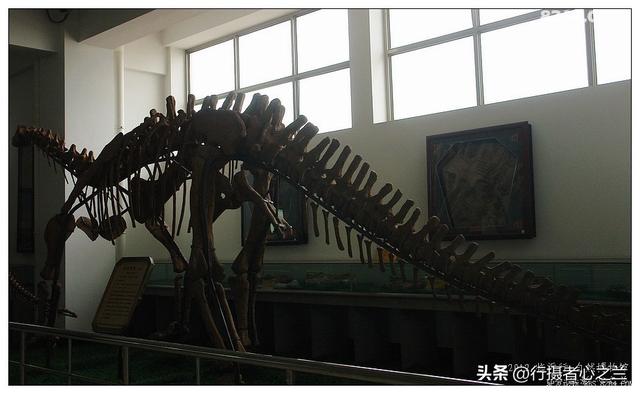 山东行游影记（26）—平邑天宇自然博物馆（一）